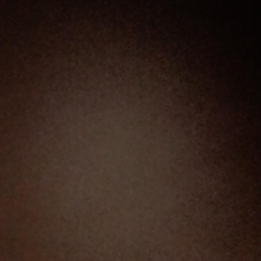 遇见狮子