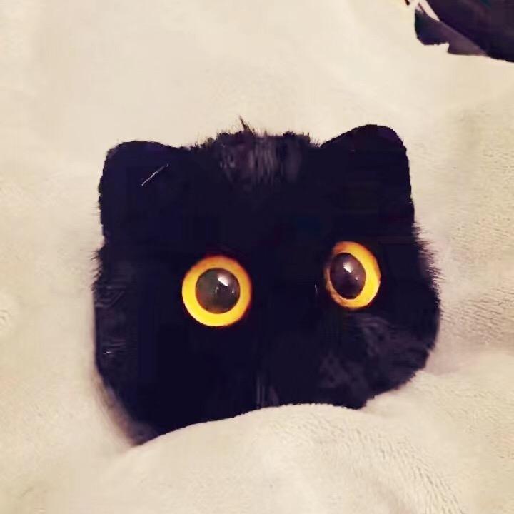 陪伴是最长情的告白  ₍˄·͈༝·͈˄*