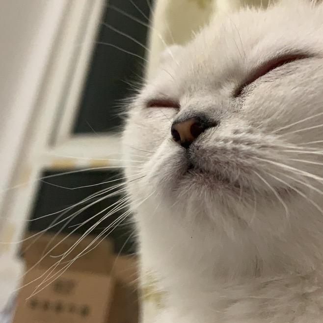 阿迂