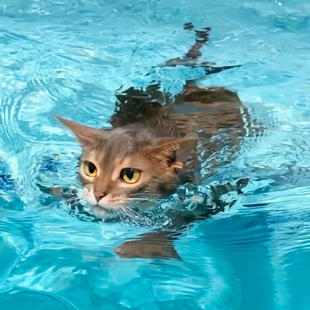 Re热块（在努力）