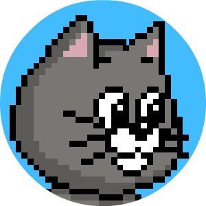 二腿黑猫