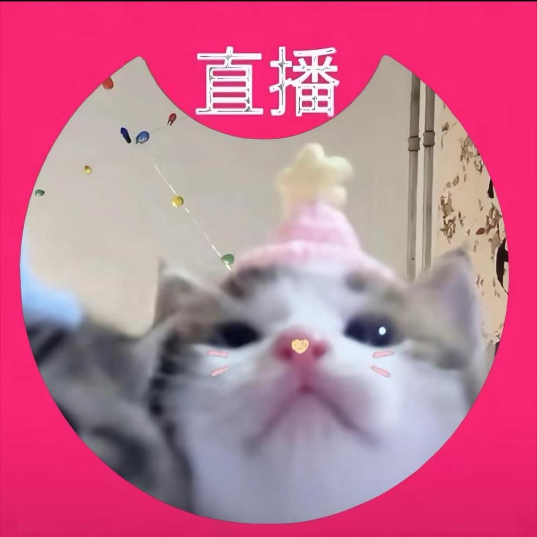 不准吃蛋挞