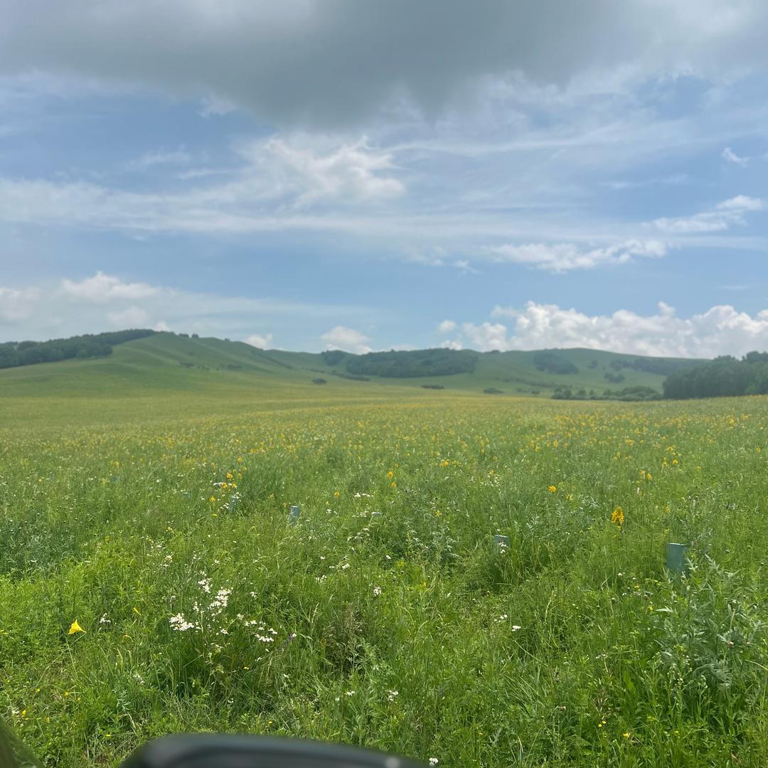 宋song妈妈👨‍👩‍👧‍👦