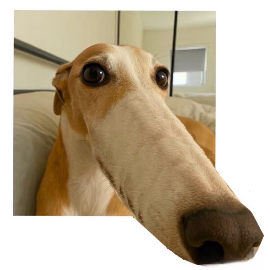 ，。