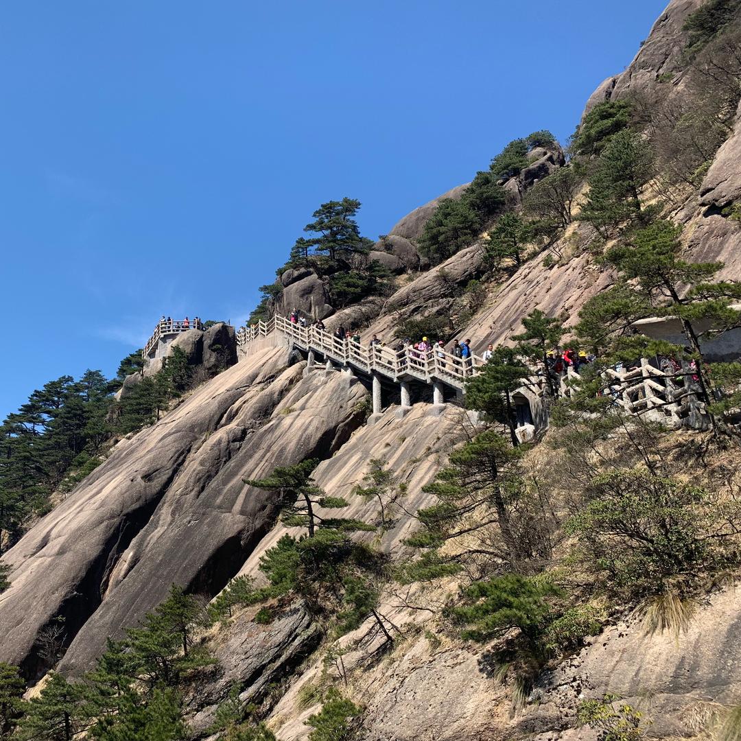 卡蕾琳kaleilin 睫毛精华液