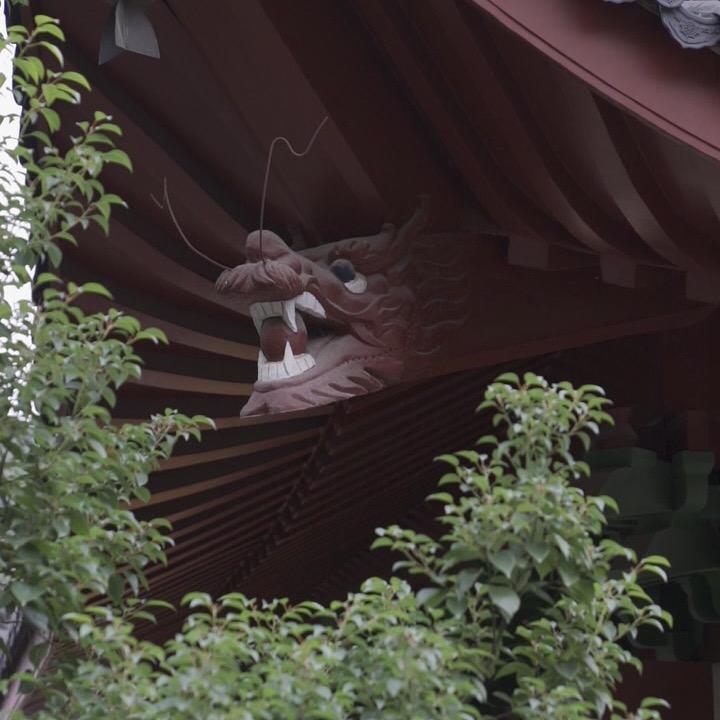 禪语先生