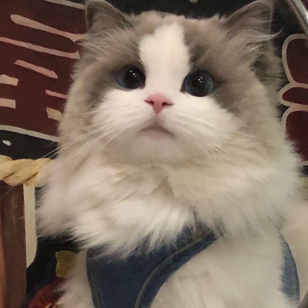 十 叁