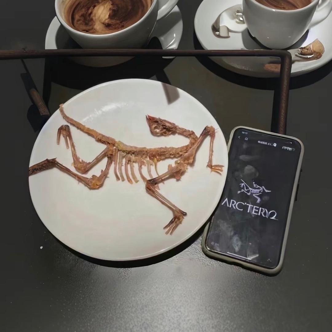 户外骨架鸟