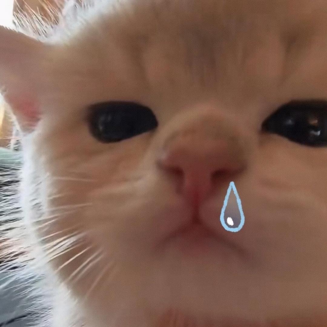 779