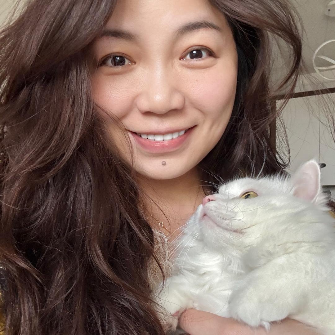 炸毛葛（养成版）