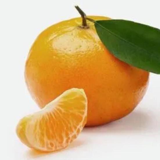 桔子熟了🍊