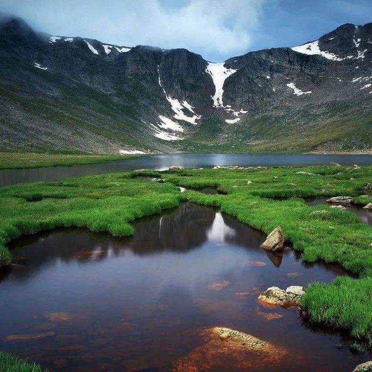 幼儿园抢饭第一名…