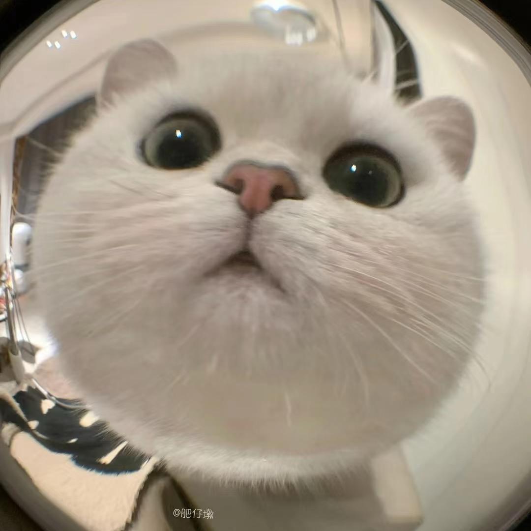 古效演