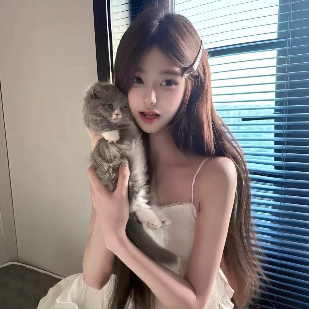 电气猫.
