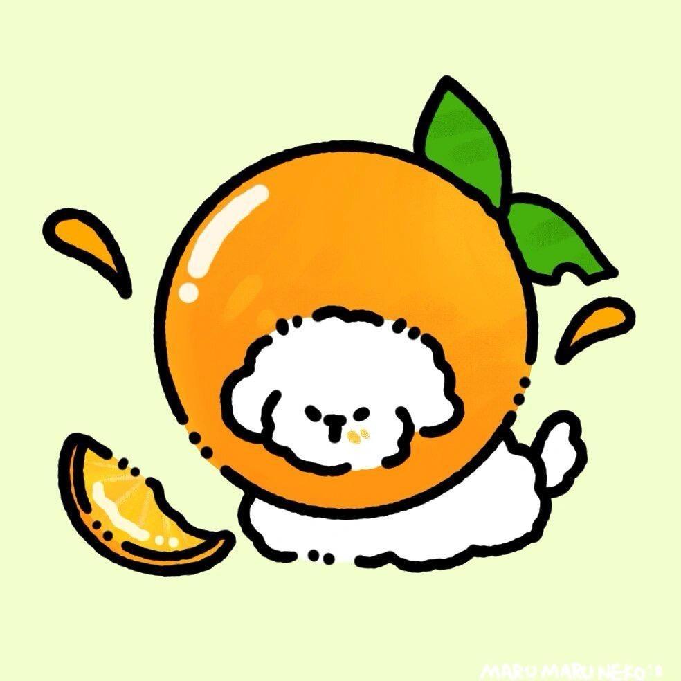 一只甜橙