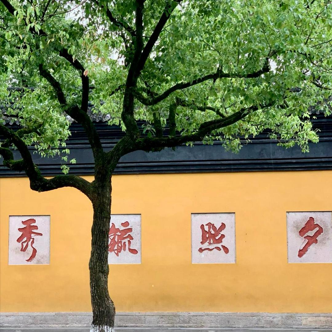 鹿屿