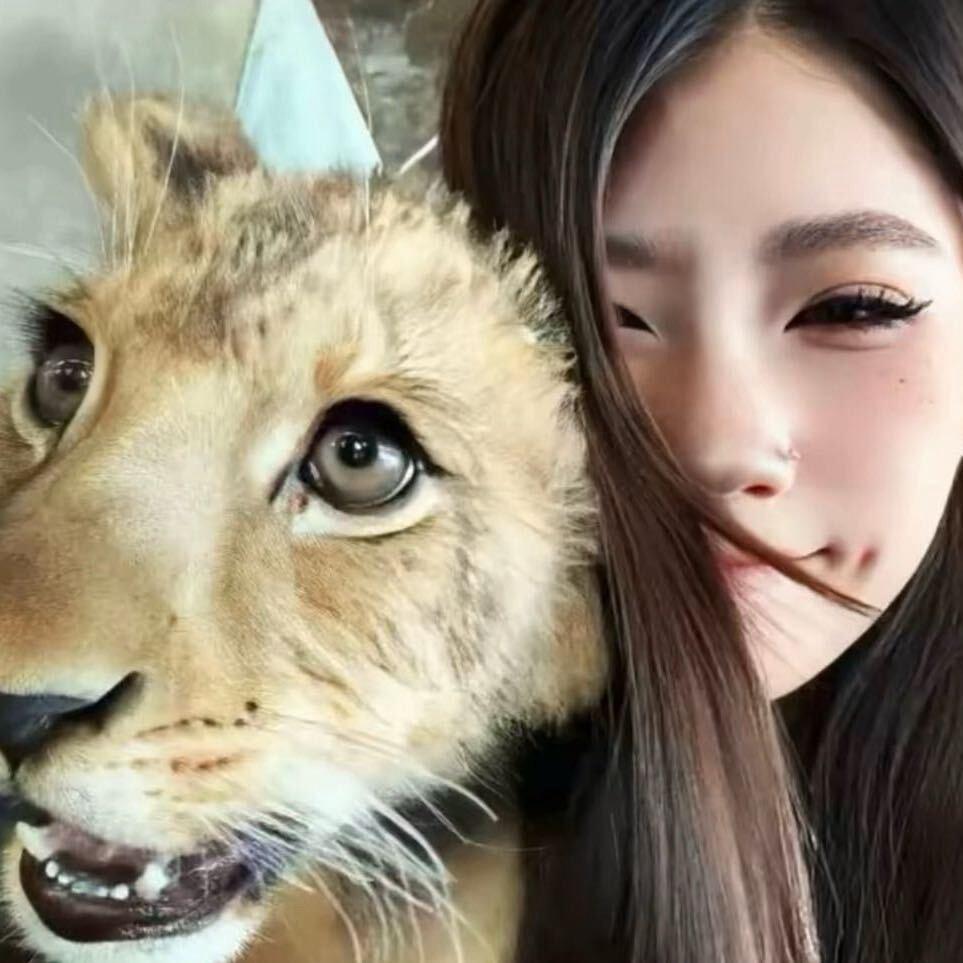 名字实在太难想了