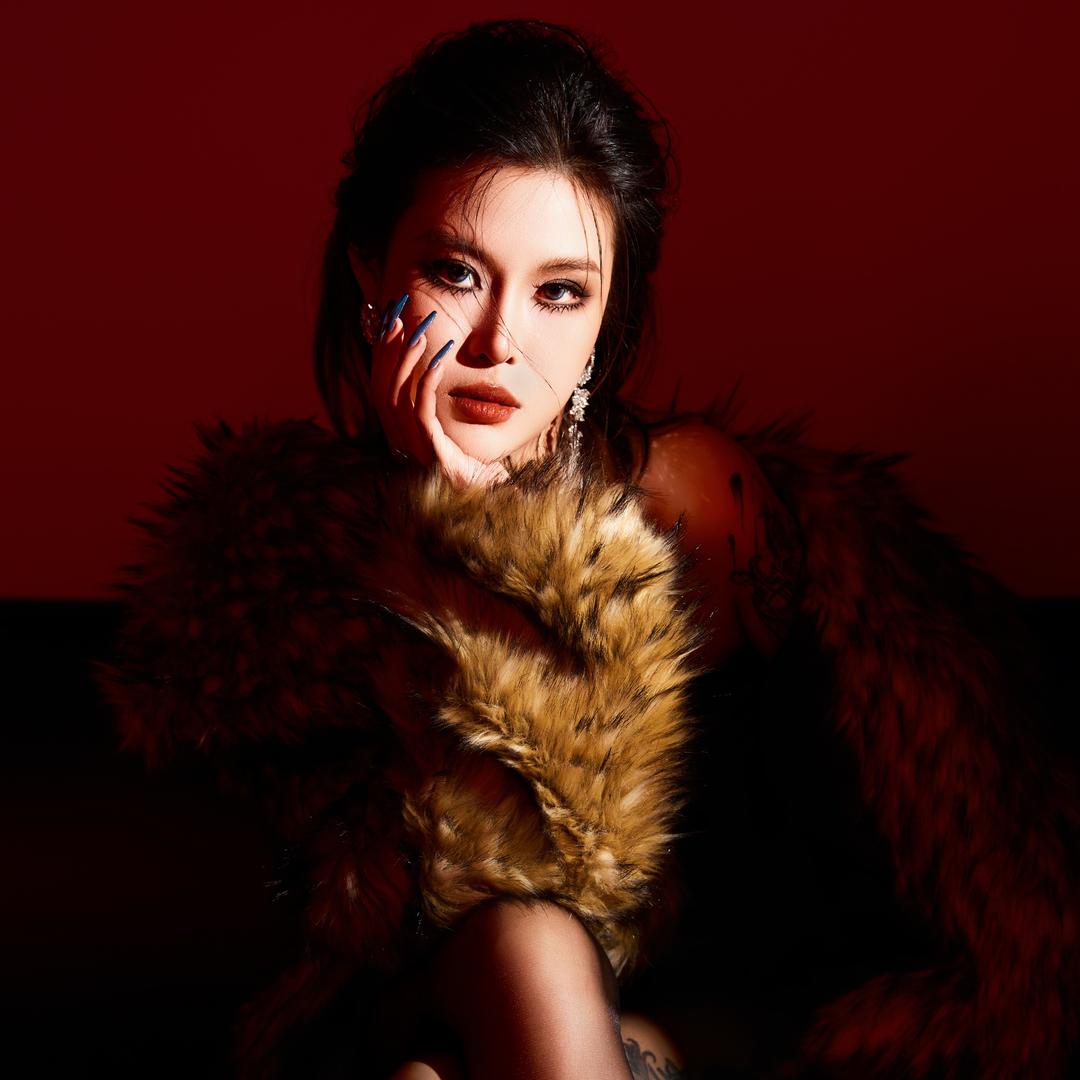 AY楊佬叁(发疯别惹版)