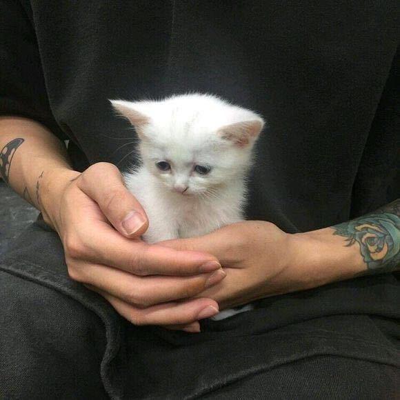 听秋