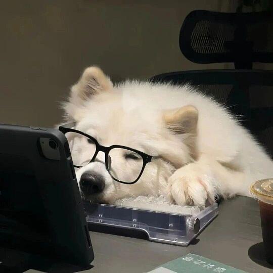 明天见.