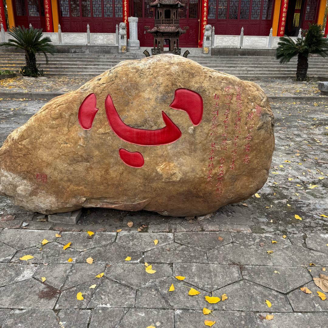 随风去流浪🎉、