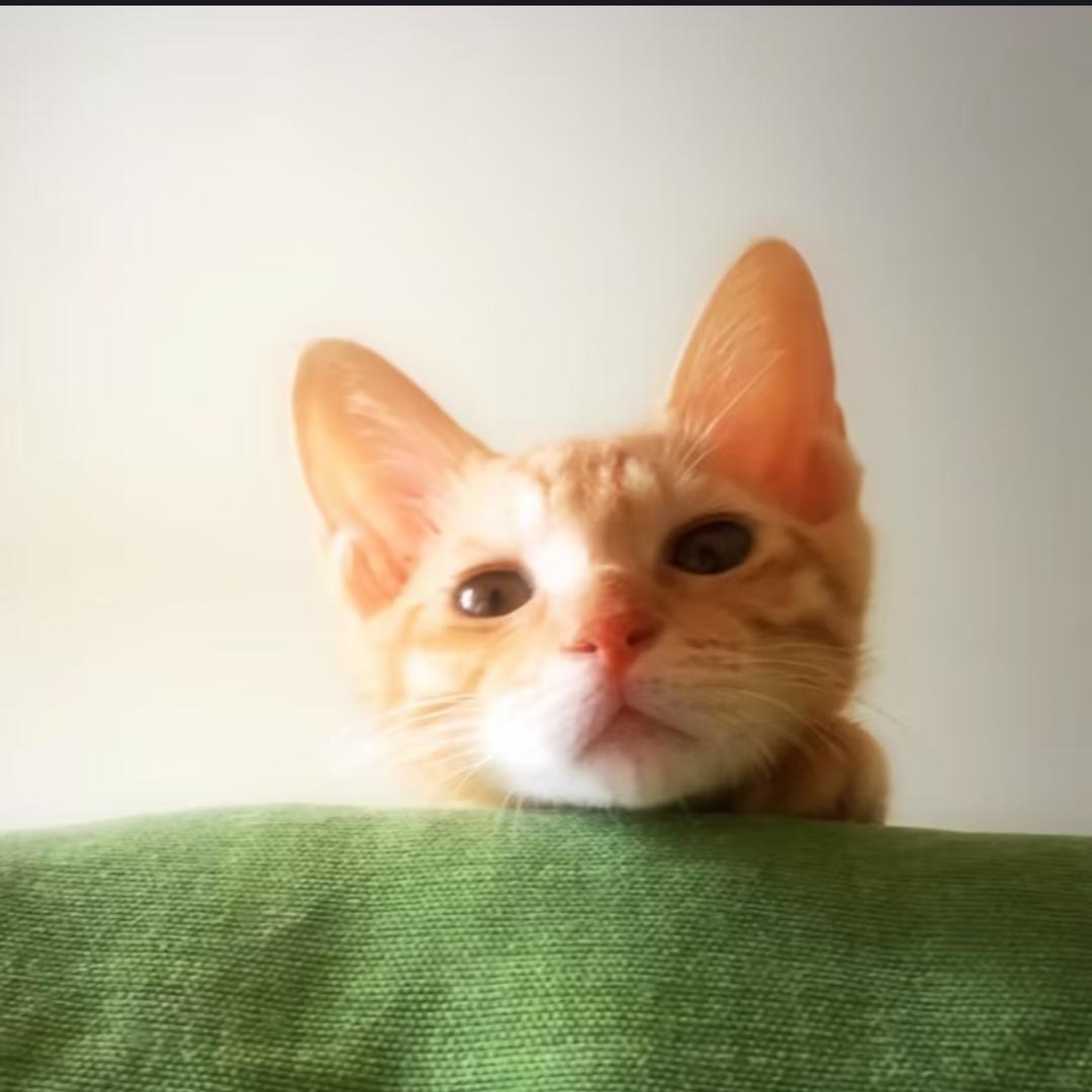 加点辣