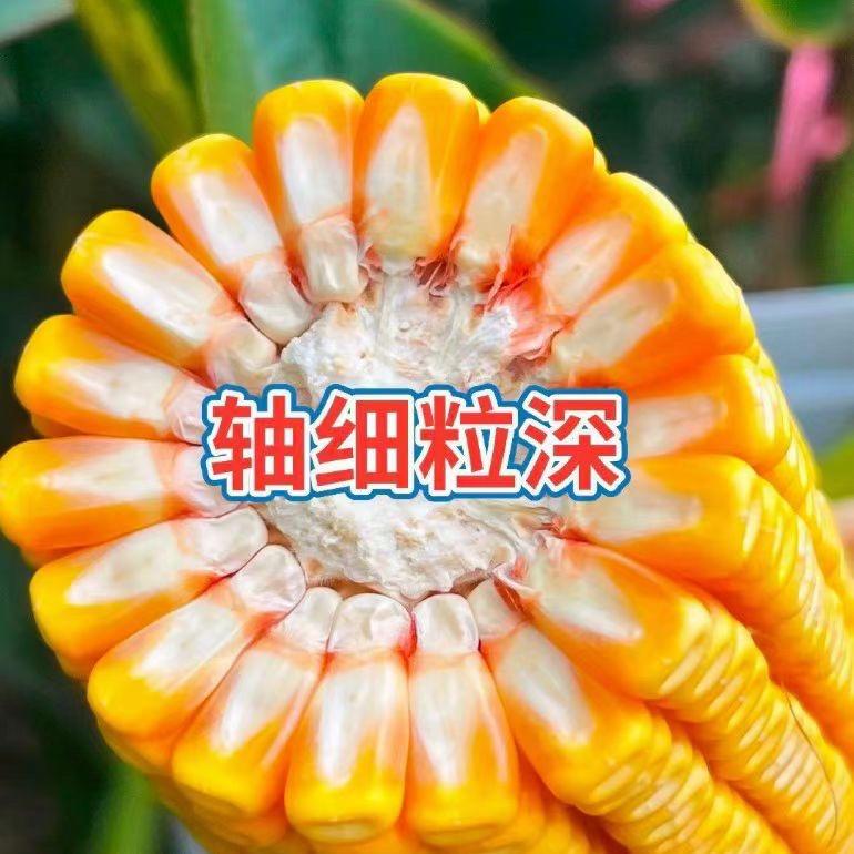 丰福农业小店