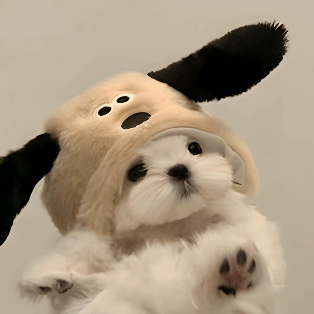 无敌小咩