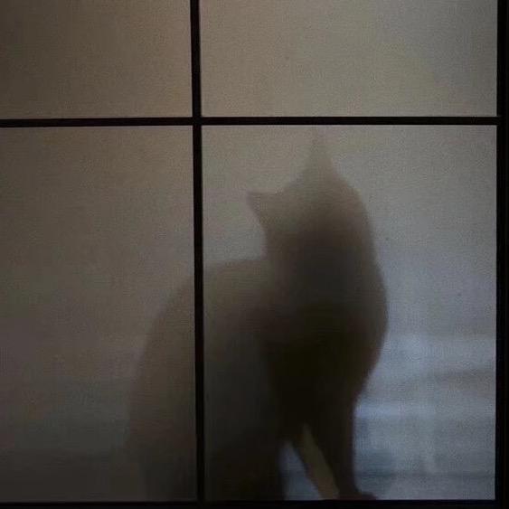 菜一颗