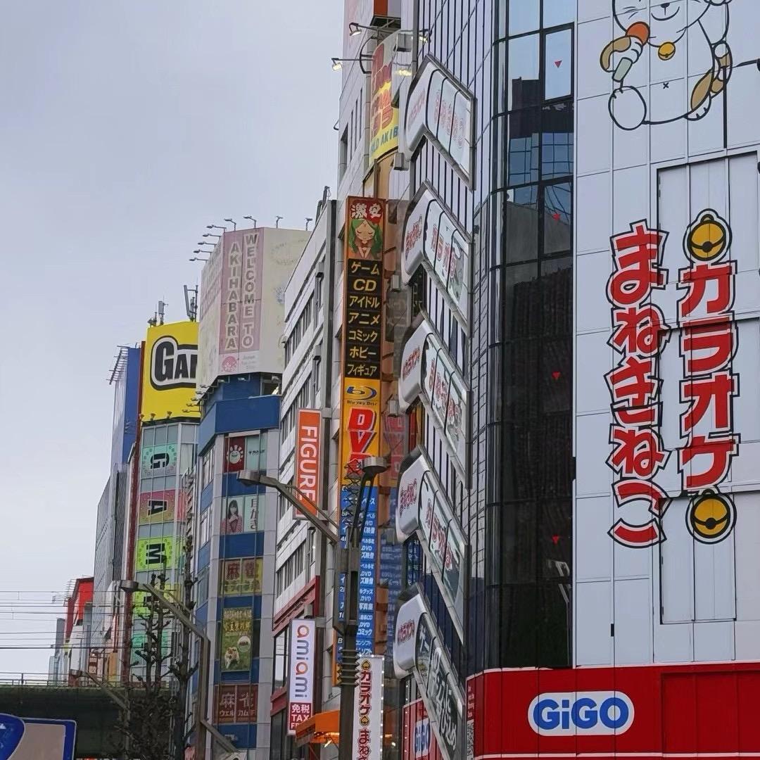 小张来日本(备赛版)