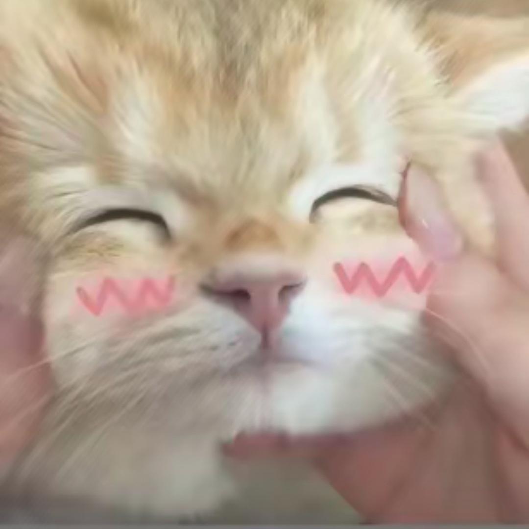 淳.”