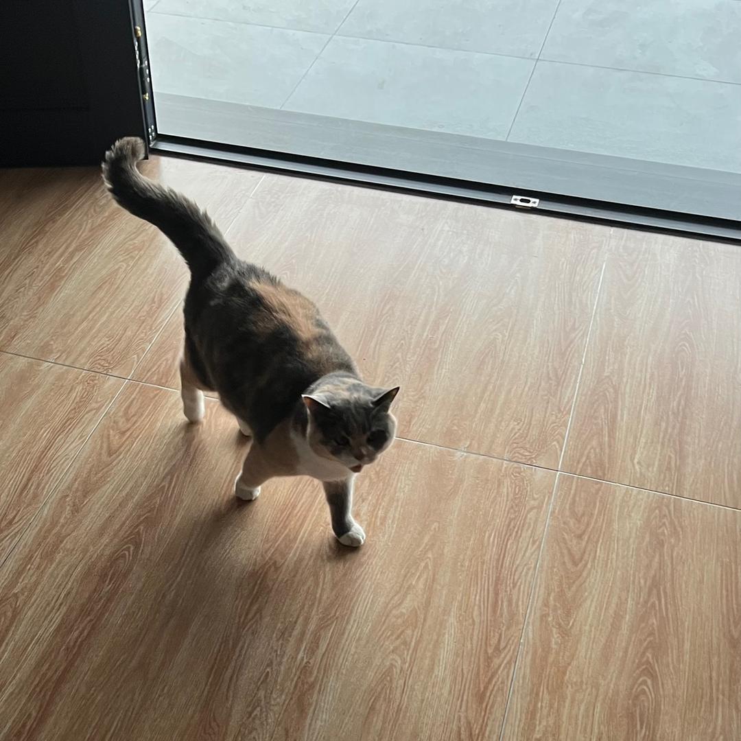 🌈🌈Layi🌈🌈