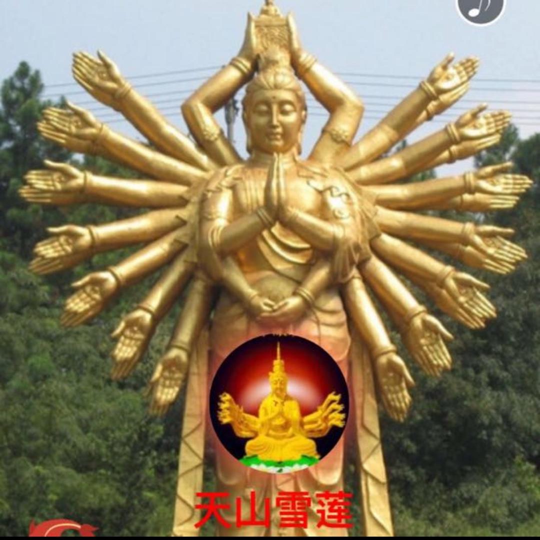 你是我一生的过客