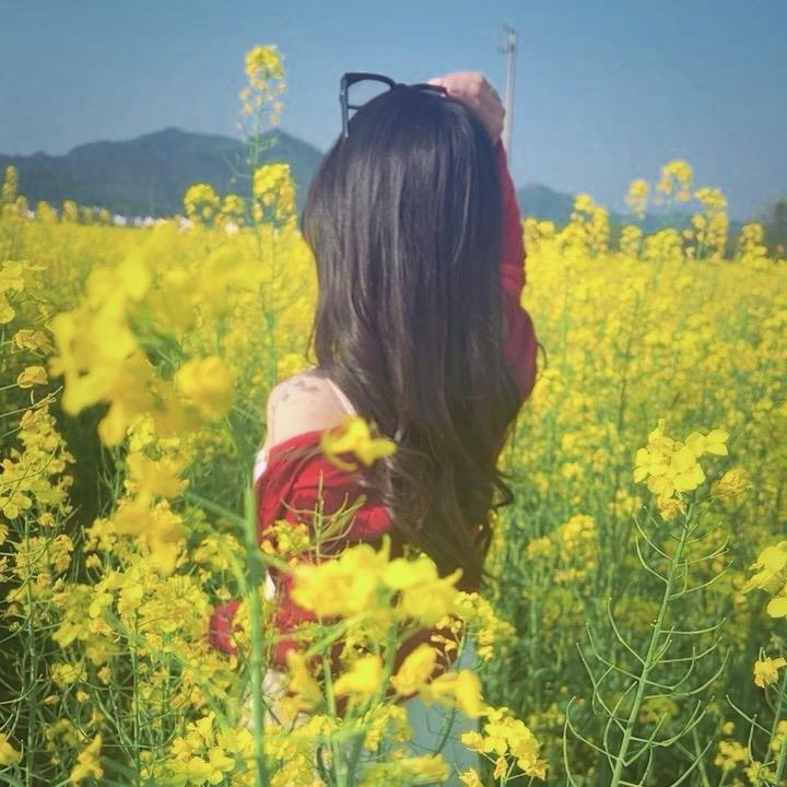 🍃叶子吖