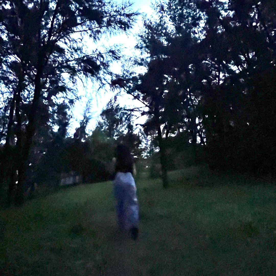 黄鸭鸭鸭鸭鸭🦆