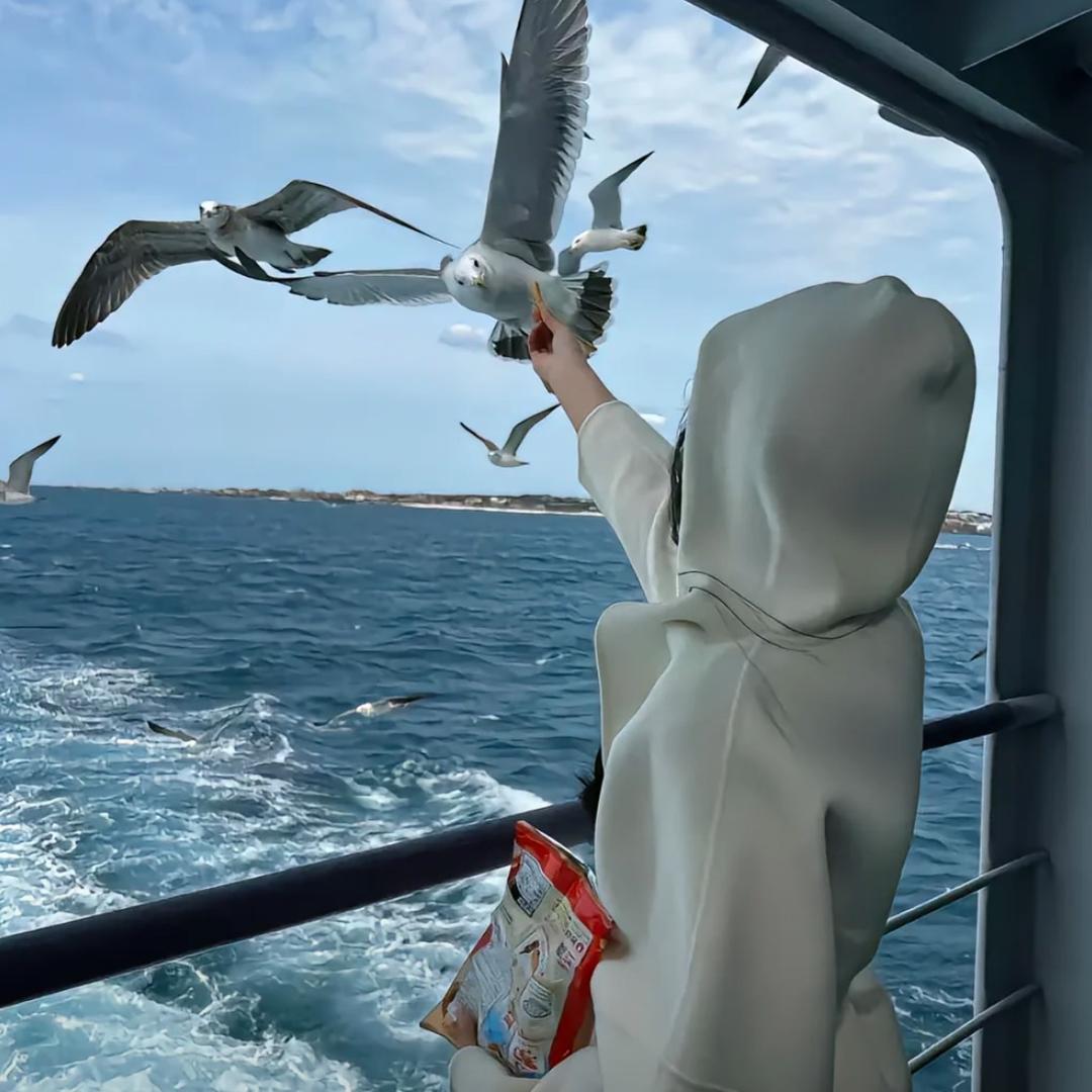 看海.