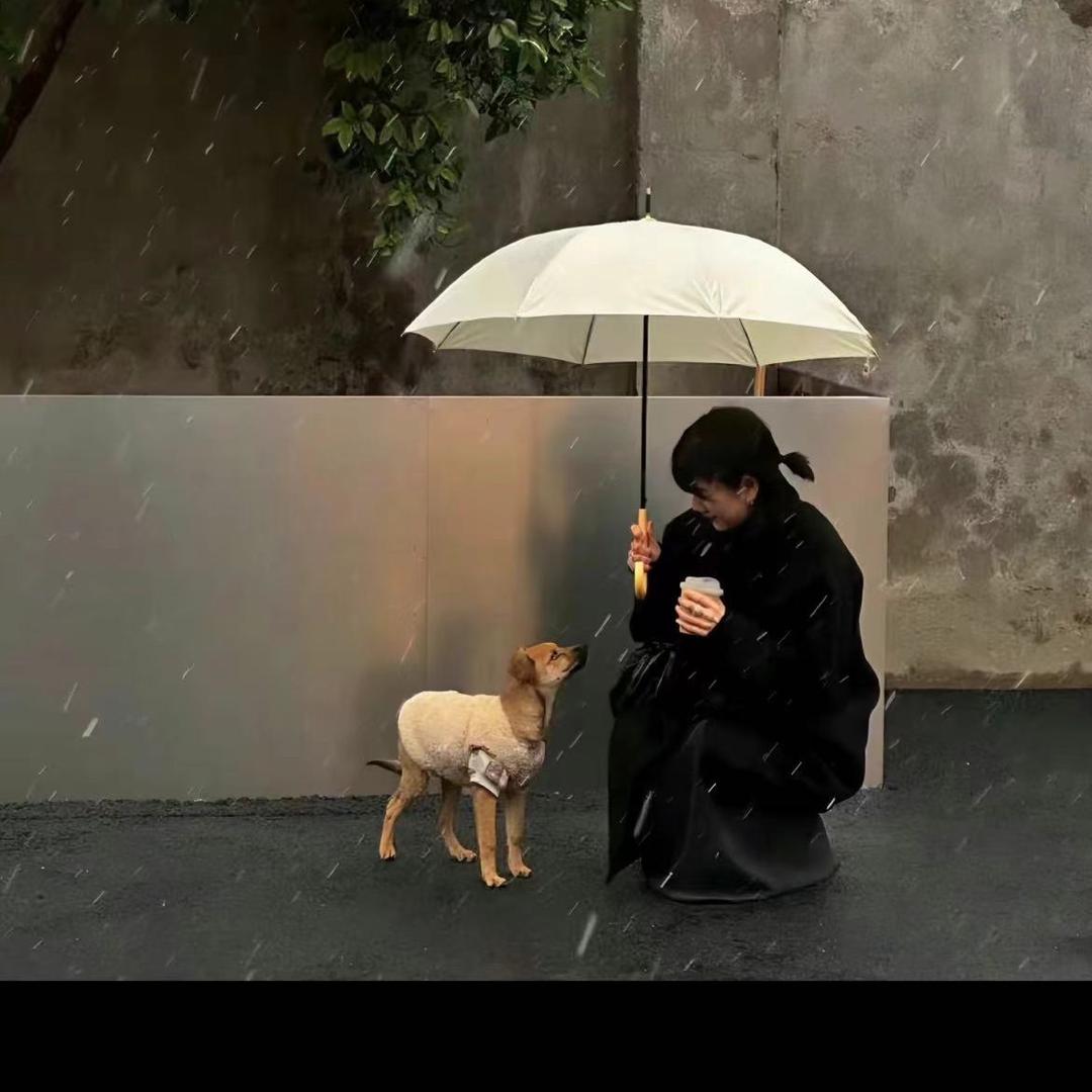 阿丽