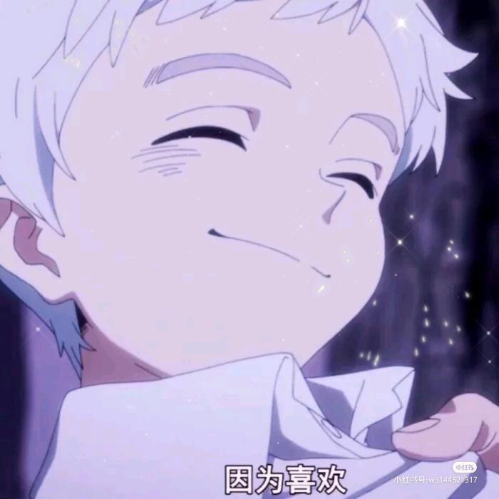 西瓜太郎bb