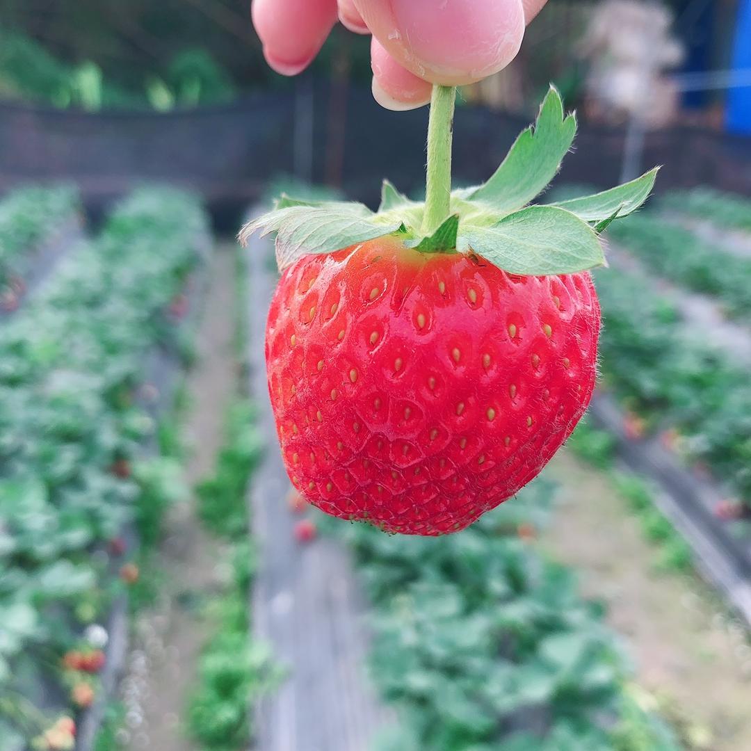 芳~芳