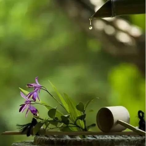 老浦家黑猪火腿月饼