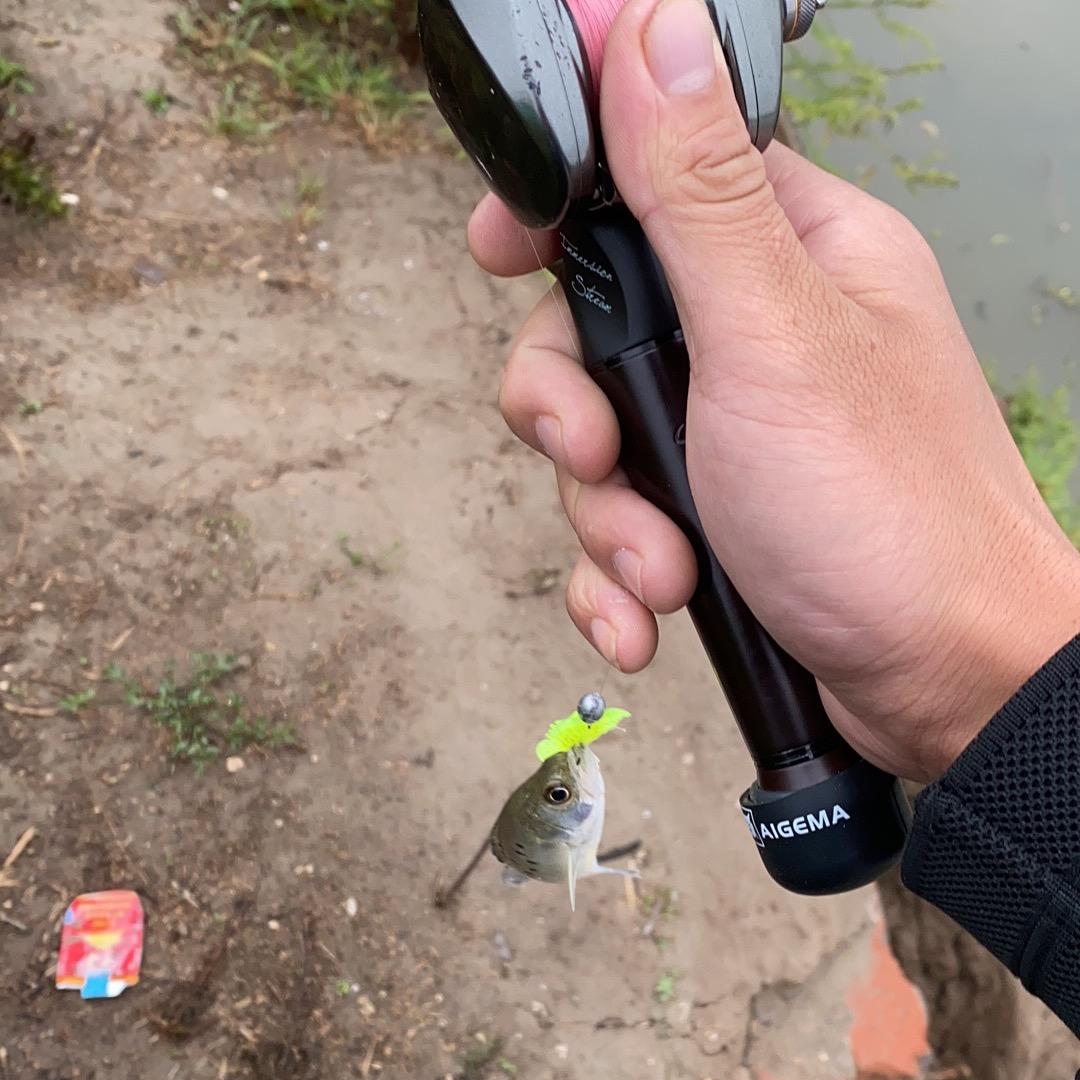 ✨a小九九🎣