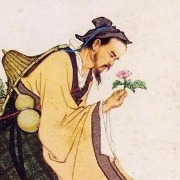 苏乾年