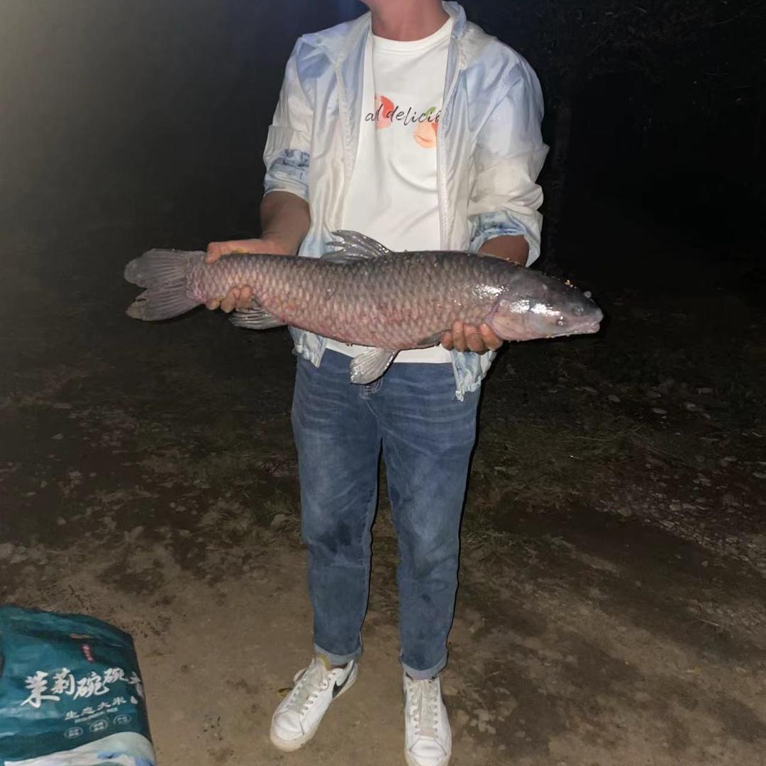 大橙子爱钓鱼（野钓）