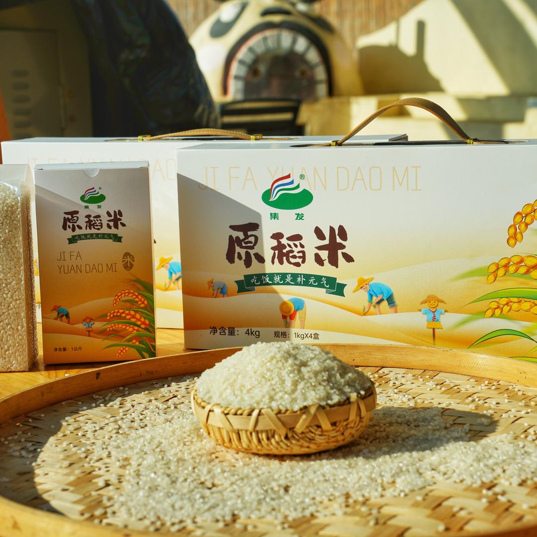 集发原稻米