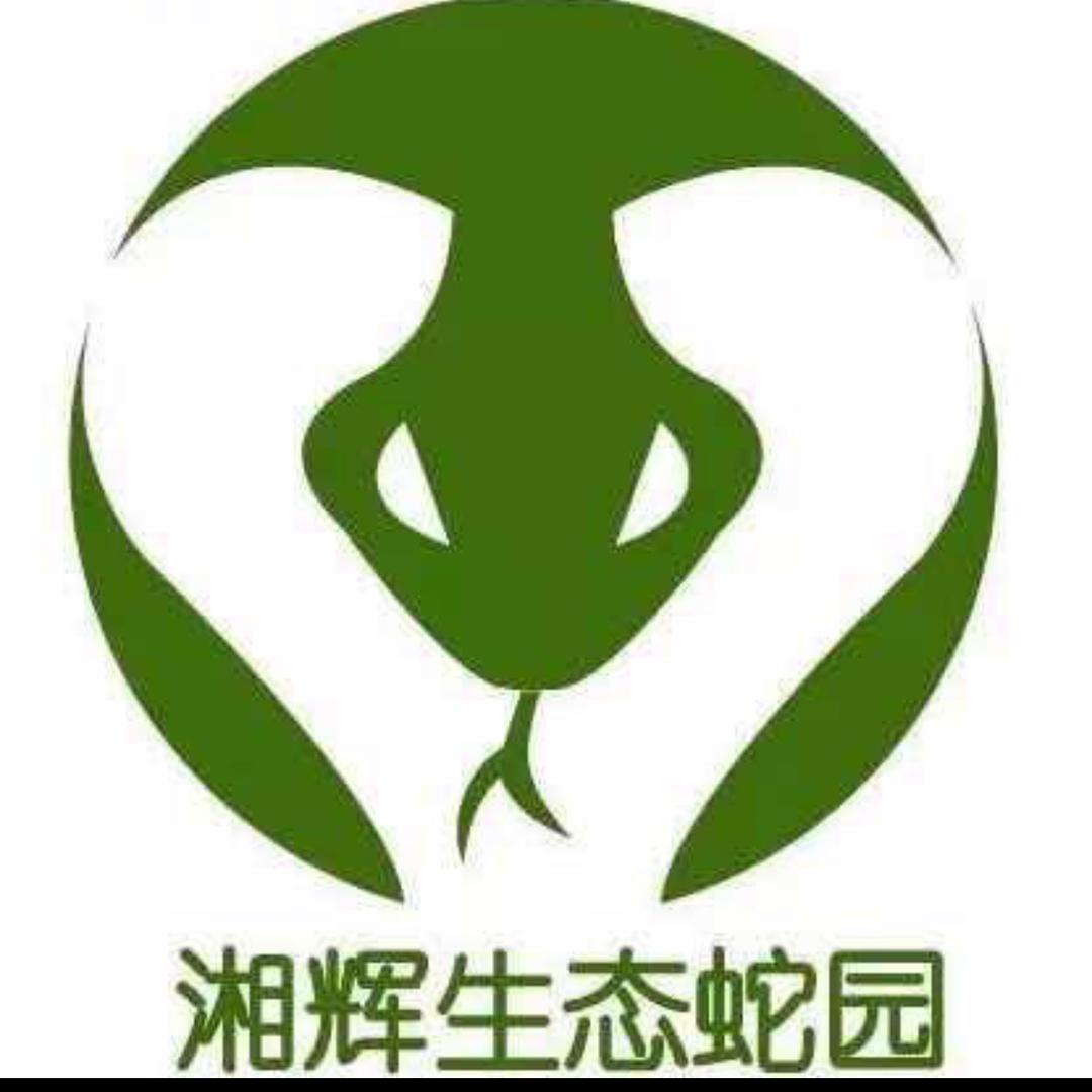 蛇伤-阿辉