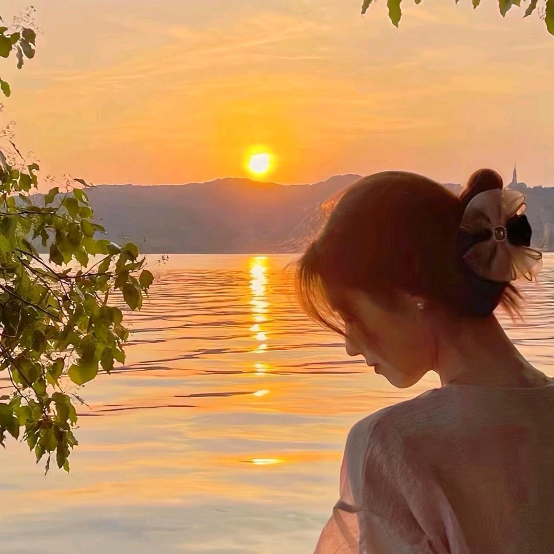 君菲惜彼(菲儿小助理）