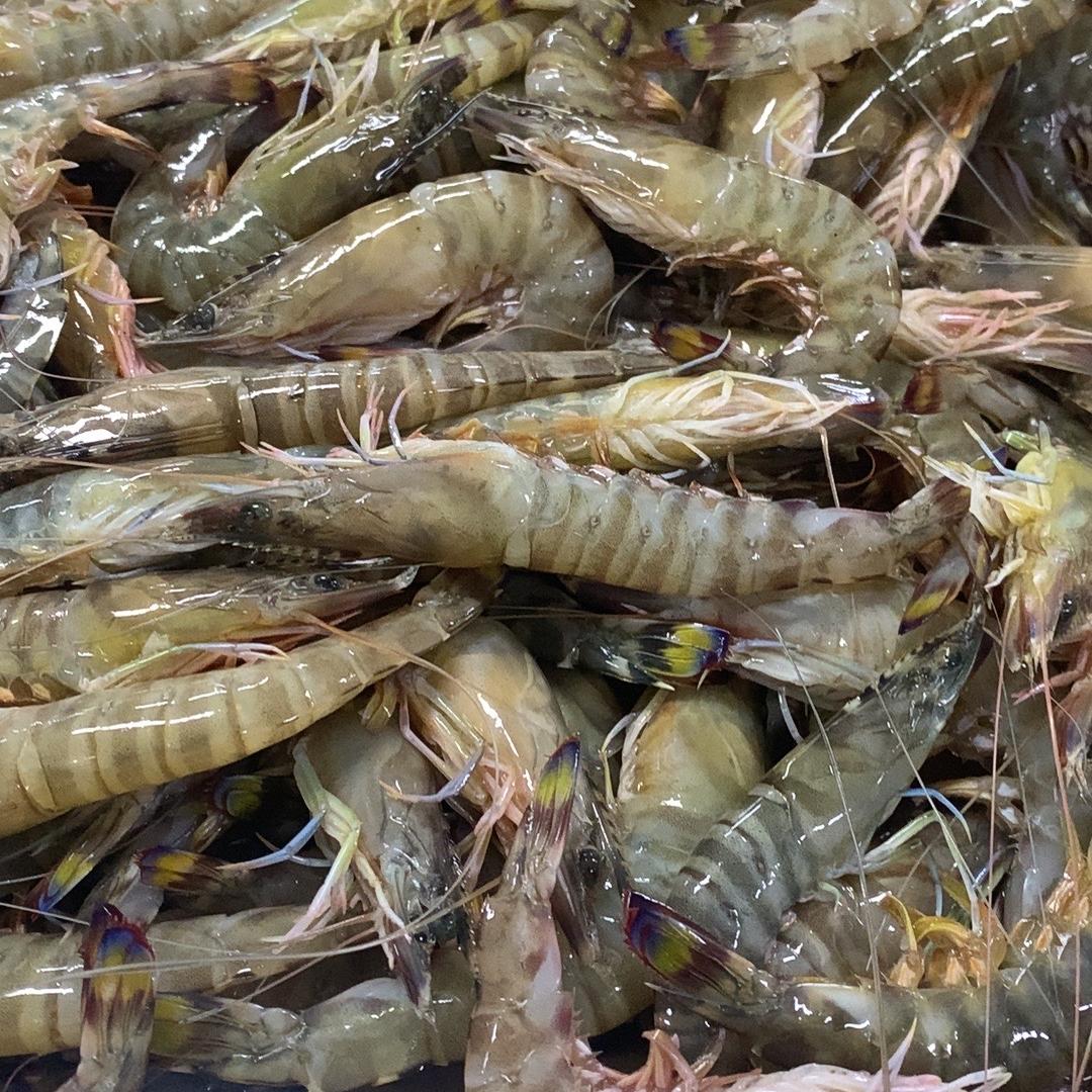 小鲜儿海鲜（源头工厂）