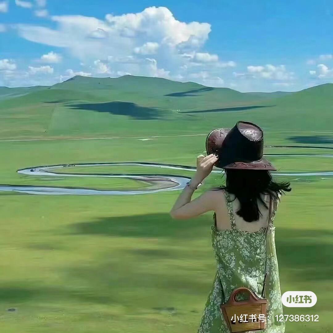 雪红梅