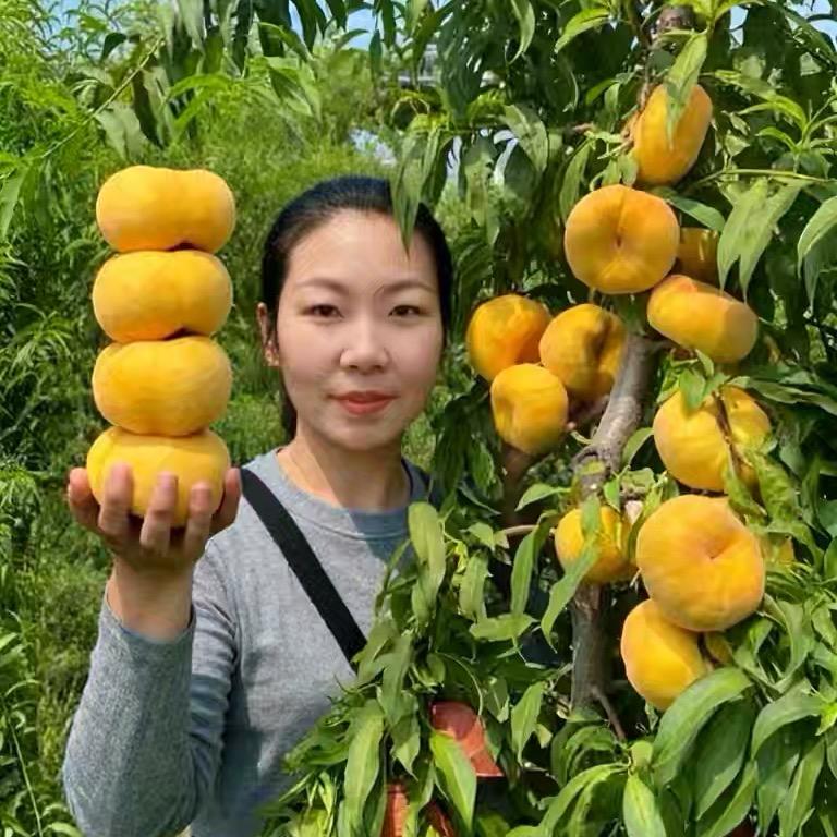 果树植保—周素平