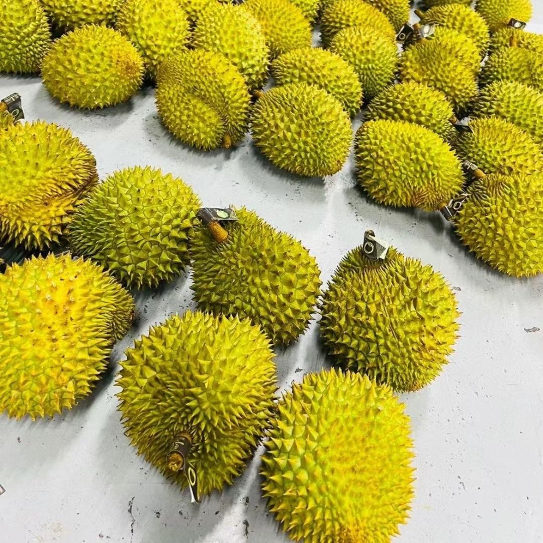 小果果$